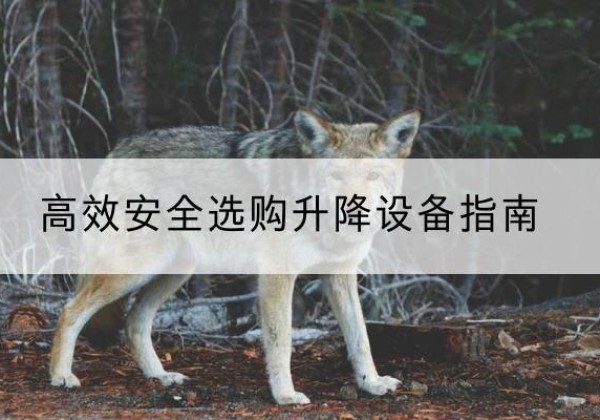 寒亭升降货梯厂家推荐-*安全选购升降设备指南