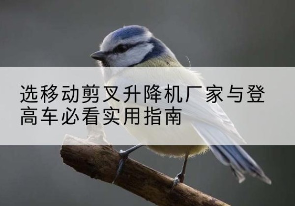 寒亭电动升降机厂家-选移动剪叉升降机厂家与登高车必看实用指南