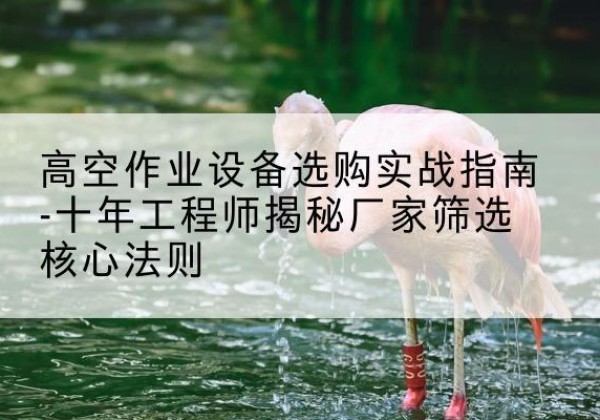 寒亭剪叉式升降机厂家-高空作业设备选购实战指南-十年工程师揭秘厂家筛选核心法则